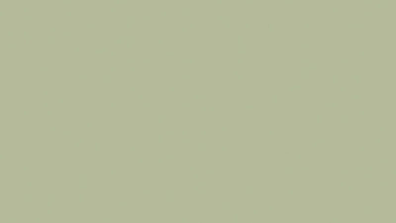 Panneau aggloméré mélaminé entier Avocado 2870 x 2070 x 18 mm