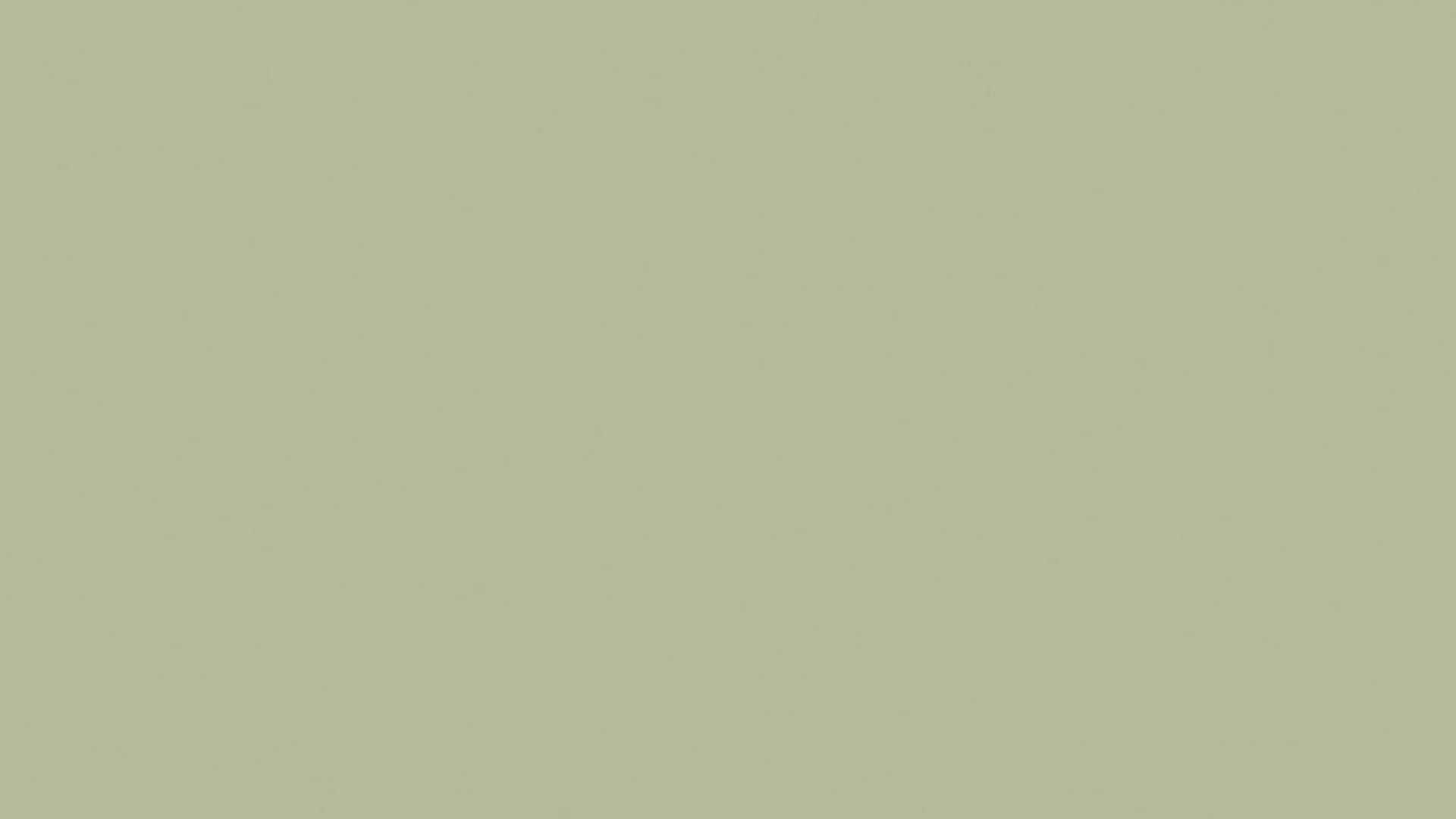 Panneau aggloméré mélaminé entier Avocado 2870 x 2070 x 18 mm